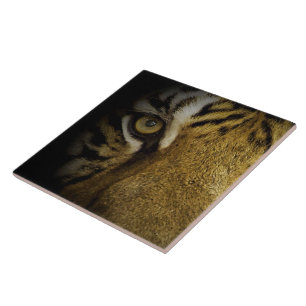Azulejo En el ojo de un tigre