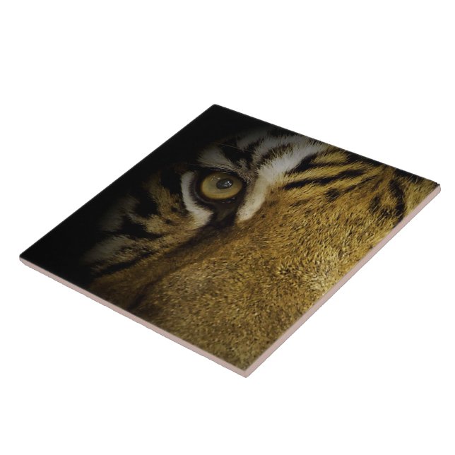 Azulejo En el ojo de un tigre (Lado)