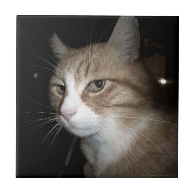 Azulejo ¿En qué está pensando? (Frente)