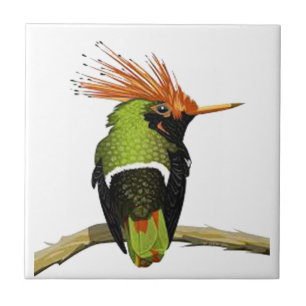 AZULEJO EN UN MIEMBRO