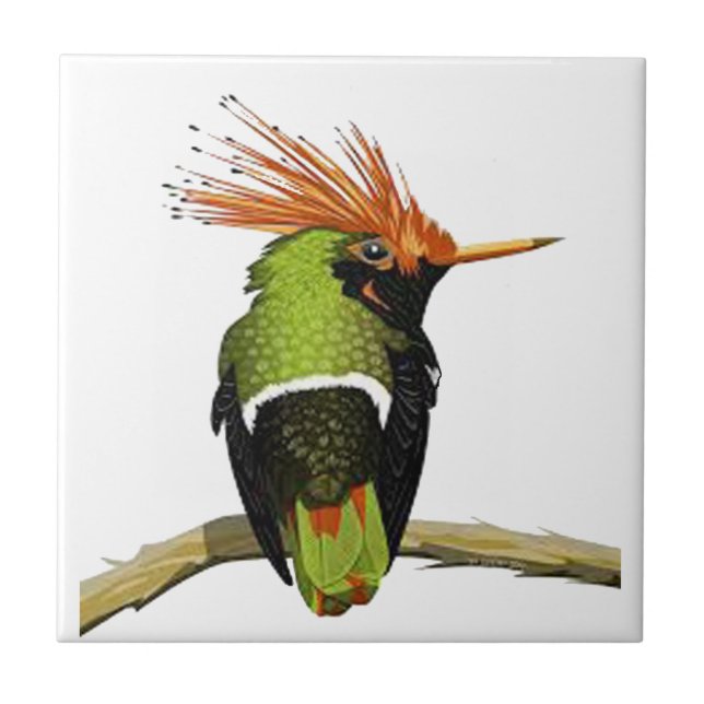 AZULEJO EN UN MIEMBRO (Frente)