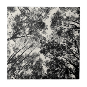 Azulejo Encima a través de los árboles, imágenes del SVP