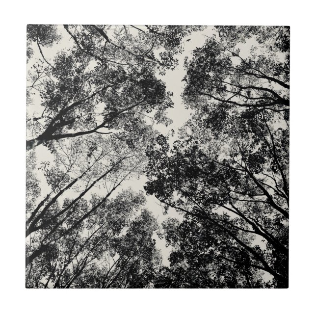 Azulejo Encima a través de los árboles, imágenes del SVP (Frente)