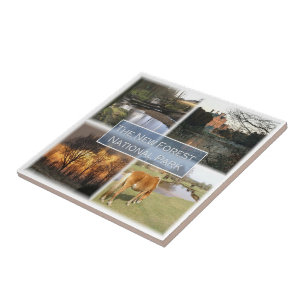 Azulejo ENG041 EL NUEVO PARQUE NACIONAL FORET Inglaterra,