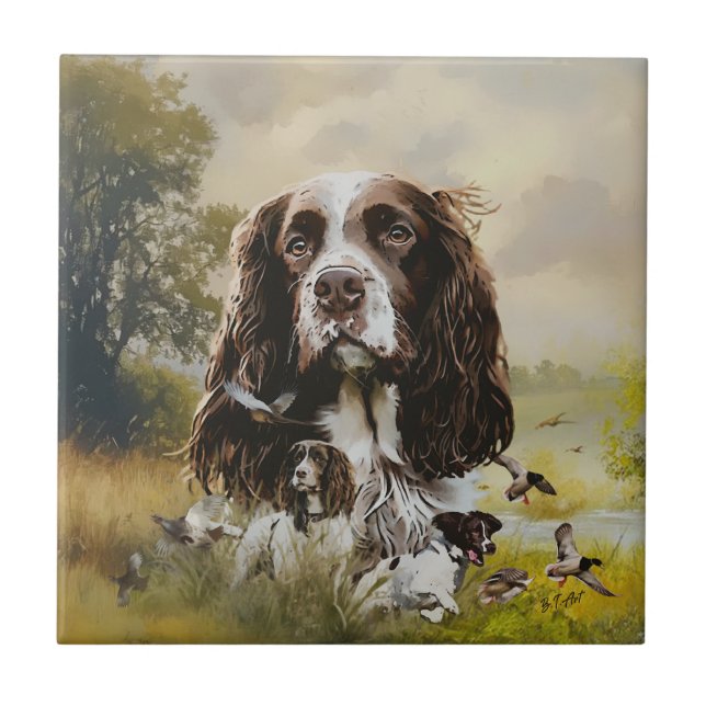 Azulejo English Springer Spaniel (Frente)