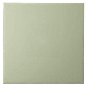 Azulejo ER Sage Green bfc6a3 FN