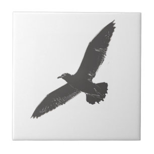 Azulejo Esbozo Alas de la Gaviota Voladora