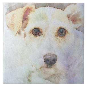 Azulejo Esbozo de la cabeza de perro con los ojos