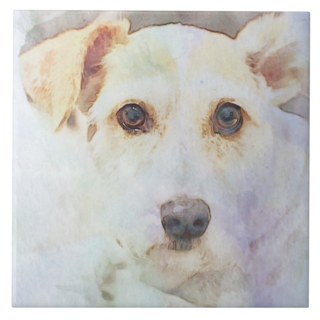 Azulejo Esbozo de la cabeza de perro con los ojos (Frente)