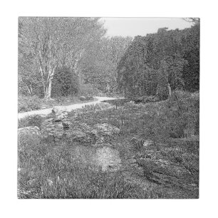 Azulejo Esbozo de naturaleza blanca y negra