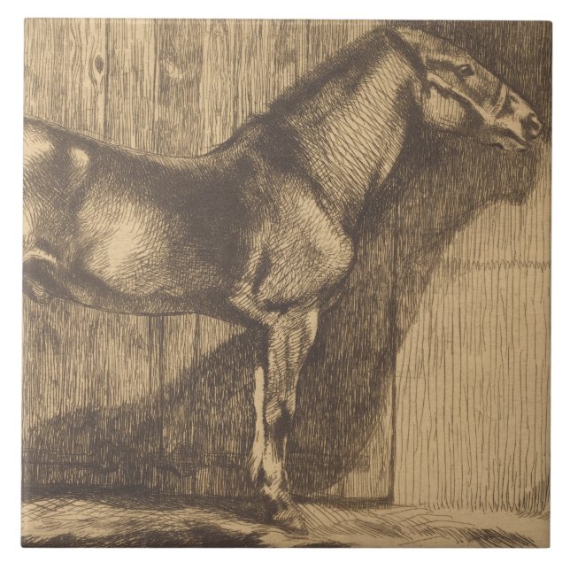 Azulejo Esbozo de un Pony (de Paul-Albert Besnard) (Frente)