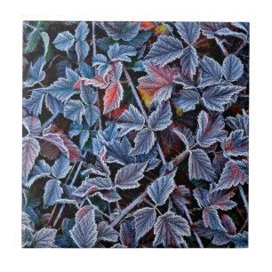 Azulejo Escarcha en hojas de otoño, Oregon