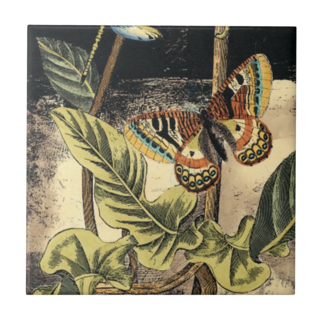 Azulejo Escena de naturaleza oscura de Vision Studio (Frente)