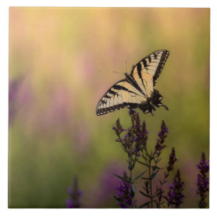 Azulejo Escena de verano, mariposa y loosestrife