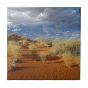 Azulejo Escena del desierto del Kalahari, Kgalagadi Transf