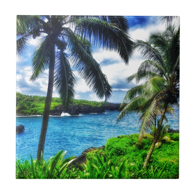 Azulejo Escena del Hawaiian IMG_1122 4 (Frente)