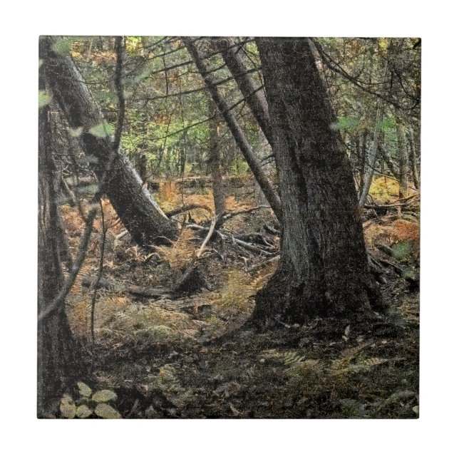 Azulejo Escena forestal de otoño (Frente)
