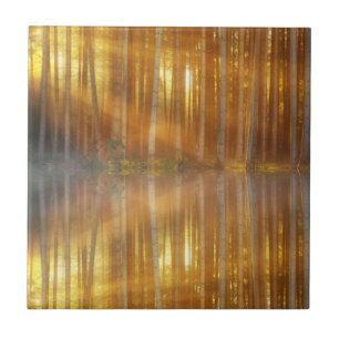 Azulejo Escenario de Bosque Misty