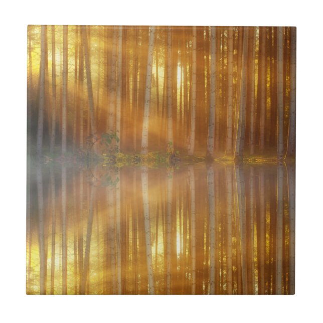 Azulejo Escenario de Bosque Misty (Frente)