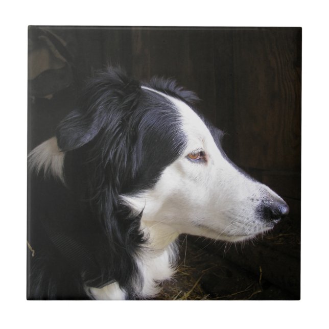 Azulejo Escuchando (Frente)