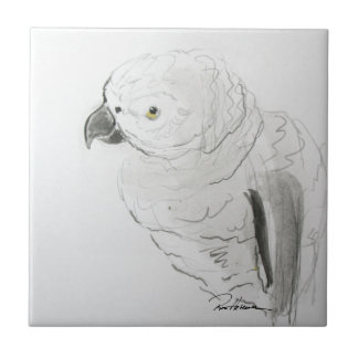 Azulejo Escuchando El Loro De Manera Estrecha. ... ...