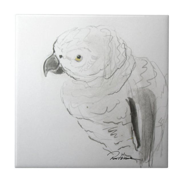 Azulejo Escuchando El Loro De Manera Estrecha. ... ... (Frente)