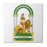 Azulejo Escudo de armas de Andalucía (España)<br><div class="desc">Andalucía es el más populoso y el segundo mayor en el área de las comunidades autónomas en España. Reconocen a la comunidad autónoma andaluz oficialmente como nacionalidad de España. El territorio se divide en ocho provincias: Almería, Cádiz, Córdoba, Granada, Huelva, Jaén, Málaga y Sevilla. Su capital es la ciudad de...</div>