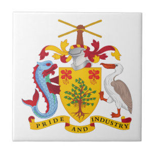 Azulejo escudo de armas símbolo emblema bandera país Barba