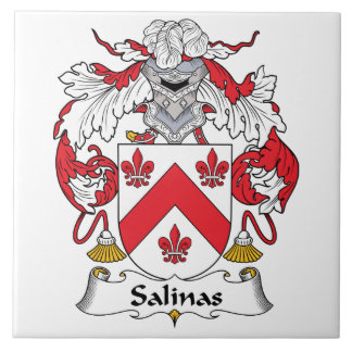 Azulejo Escudo de la familia de las salinas