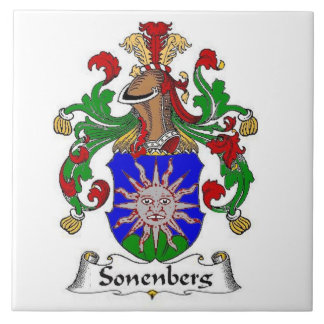 AZULEJO ESCUDO DE LA FAMILIA DE SONENBERG EN EL ESCUDO DE