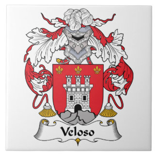 Azulejo Escudo de la familia de Veloso