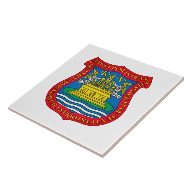 Azulejo Escudo de Puebla de los Ángeles, México (Lado)