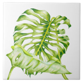 Azulejo Esculturas de Leafy sobre una tela cerámica (1)