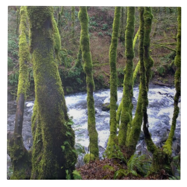 Azulejo Escurrimiento desde las cataratas del velo de novi (Frente)