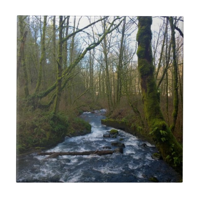 Azulejo Escurrimiento desde las cataratas del velo de novi (Frente)