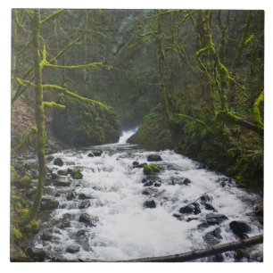 Azulejo Escurrimiento desde las cataratas del velo de novi