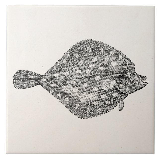 Azulejo Espacio en blanco de la plantilla de los pescados (Frente)