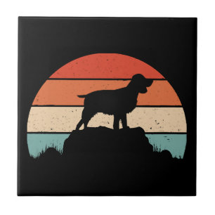 Azulejo Espanilo de resorte inglés