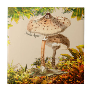 Azulejo Especie de champiñón Snake Agaric