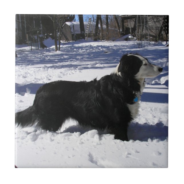 Azulejo Esperando (Frente)