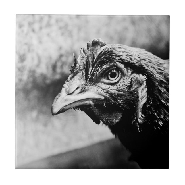 Azulejo espíritus y pollos (Frente)