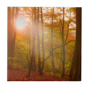 Azulejo Esplendor del otoño