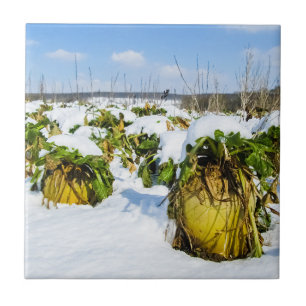 Azulejo Esquash de invierno en nieve - Cerámica personaliz