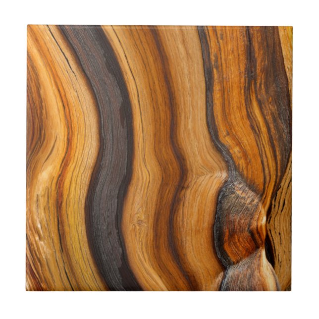 Azulejo Estados Unidos, California, Bosque Nacional Inyo 7 (Frente)