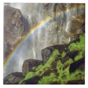 Azulejo Estados Unidos, California, Parque Nacional Yosemi