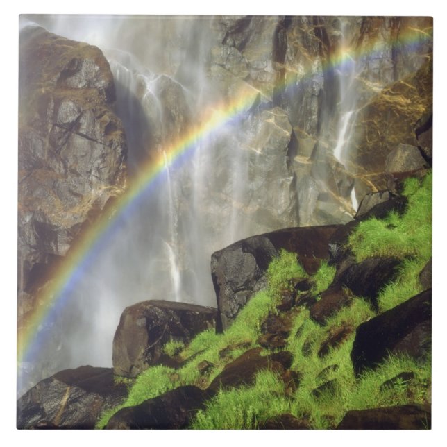 Azulejo Estados Unidos, California, Parque Nacional Yosemi (Frente)