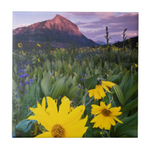 Azulejo Estados Unidos, Colorado, Monte Crested Butte