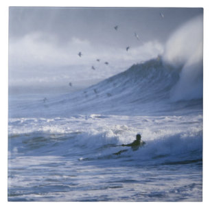 Azulejo Estados Unidos, estado de Washington, La Push. Hom