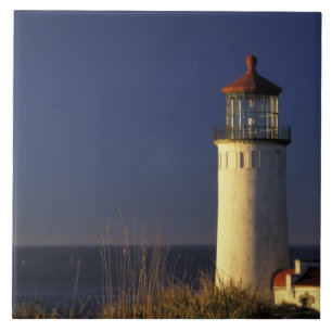 Azulejo Estados Unidos, Washington State, Fort Canby State
