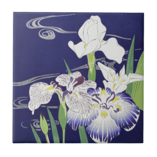 Azulejo Estampa de Arte de Iris Japonés Antiguo de Kogyo T